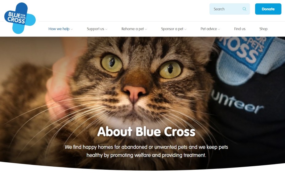 BlueCross