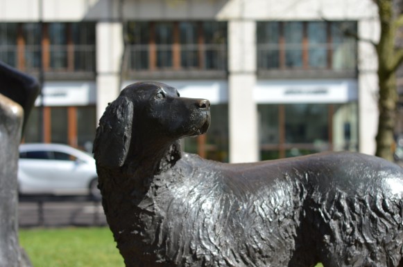 Dog from the Animals in War Memorial, Park Lane, just south of Marble Arch.