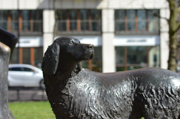 Dog from the Animals in War Memorial, Park Lane