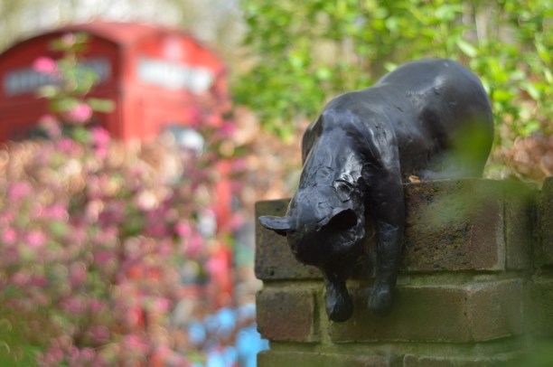 Sam the cat, Queen Square Gardens, Holborn, Lonfon