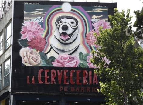 Frida's image has been painted on walls and a bronze statue of her and her handler was erected in Puebla, Mexico. (Picture - Getty Images)
