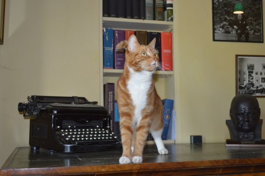 Jock posed patiently for photos in anticipation of a salmon Dreamie or two!