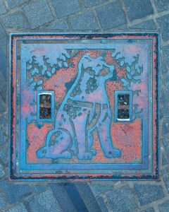 Hachiko drain cover
