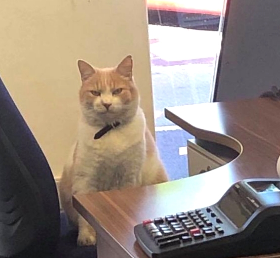 Wilbur at the local building Society