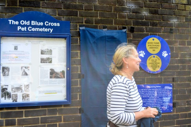 Nicola White: Mudlark