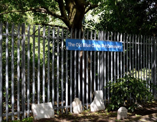 The Old Blue Cross pet Cemetery
