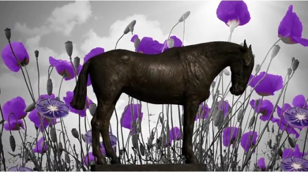 The War Horse Memorial organises a Purple Poppy day on August 23rd each year, to remember the animals lost in conflicts (Picture War Horse Memorial)