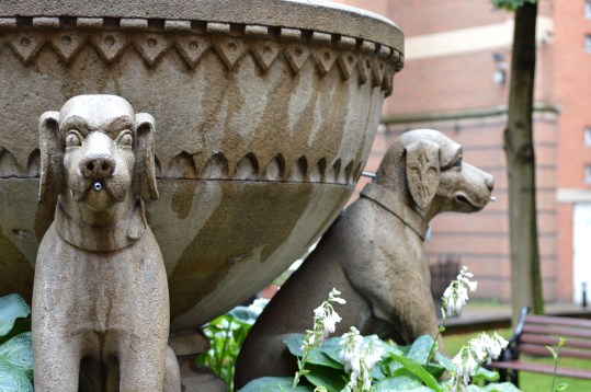 The Talbot Hounds (picture: Jackie Buckle)