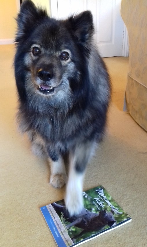 Lexi gets her paws on the book :-)